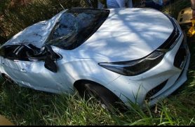 Motorista fica ferido após carro sair da pista e bater contra árvore na PR-239 Motorista fica ferido após carro sair da pista e bater contra árvore na PR-239