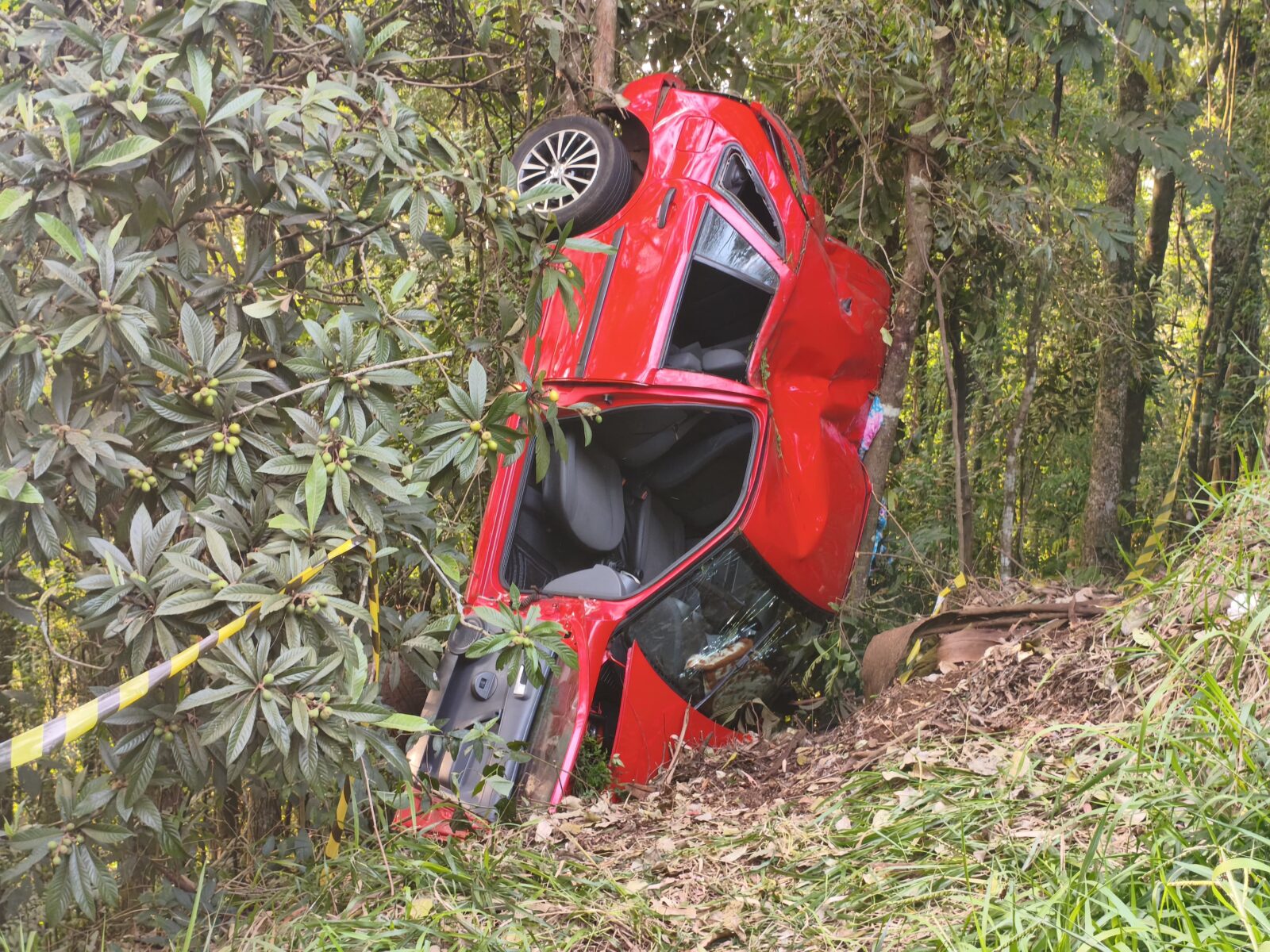 Imagem referente a Grave acidente na PR-493 deixa menino de 7 anos morto na PR-493