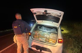 Motorista abandona carro e foge a pé após PRF encontrar 282 kg de maconha na BR-277