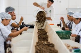 Consulta sobre bens sustentáveis no acordo Mercosul–UE acaba na quarta