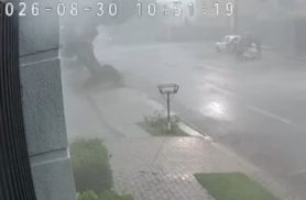 Câmera flagra momento em que árvore é arrancada pela raiz durante tempestade em Cascavel