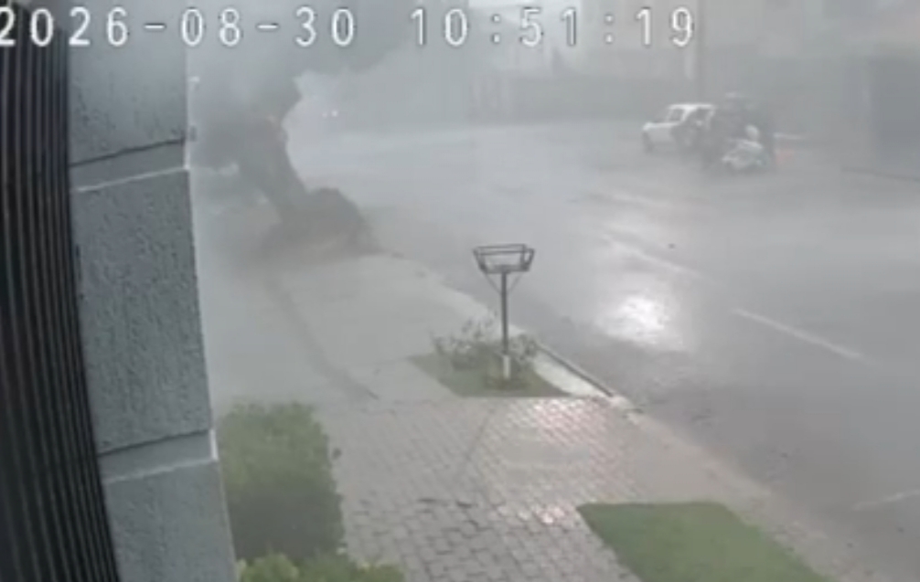 Câmera flagra momento em que árvore é arrancada pela raiz durante tempestade em Cascavel