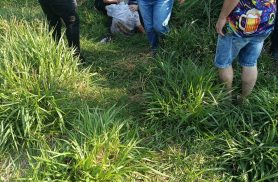 João Coelho Calandria, idoso de 86 anos é encontrado vivo em Cascavel