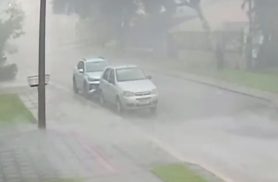 VÍDEO: Temporal derruba árvore inteira e assusta moradores no Universitário