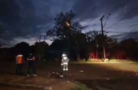 Árvore derrubada após temporal pega fogo com volta da luz no Cascavel Velho