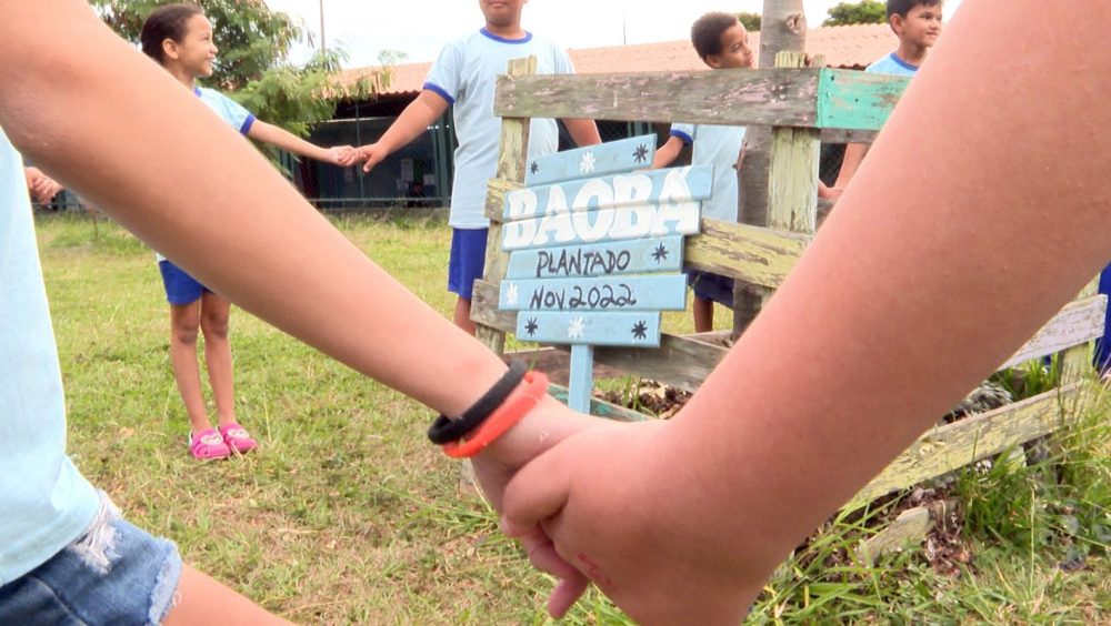 Caminhos da Reportagem aborda construção da identidade parda Imagem referente a Caminhos da Reportagem aborda construção da identidade parda