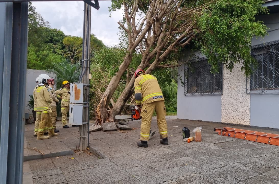 Bombeiros são mobilizados após árvores caírem sobre casa durante tempestade em Cascavel