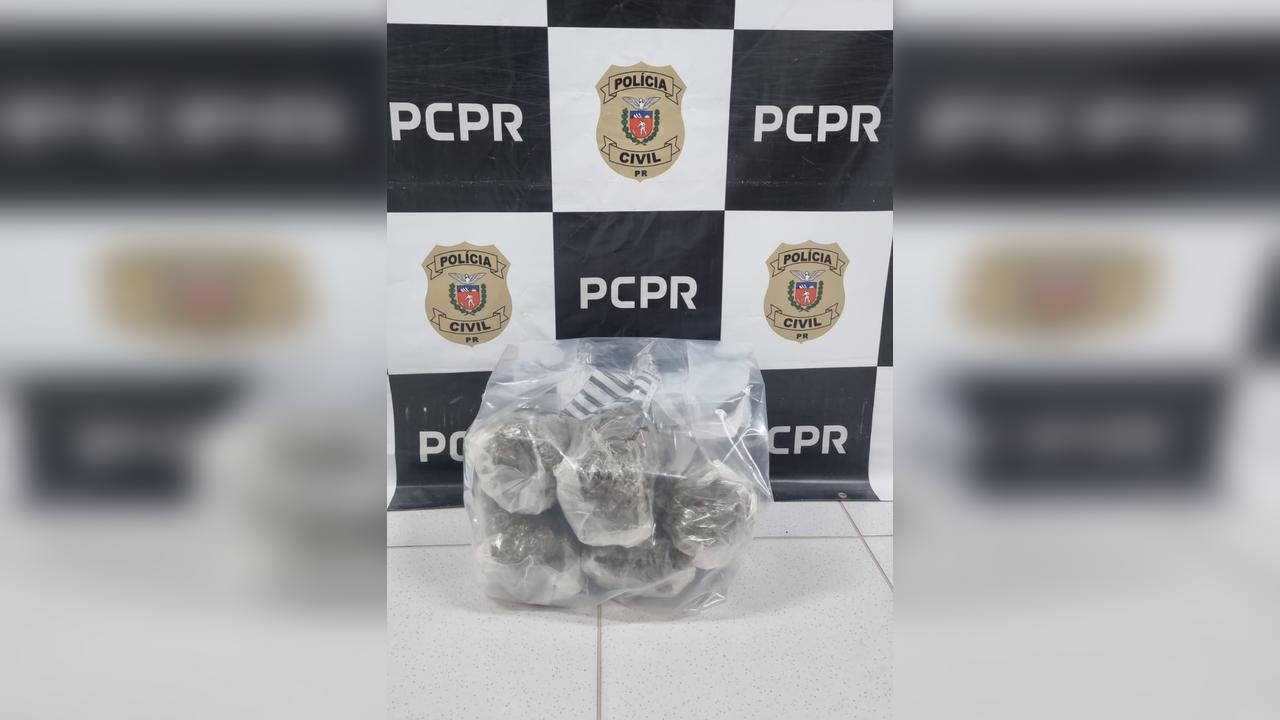 Cinco quilos de capulho são apreendidos em empresa de transportes em Cascavel Imagem referente a Cinco quilos de capulho são apreendidos em empresa de transportes em Cascavel