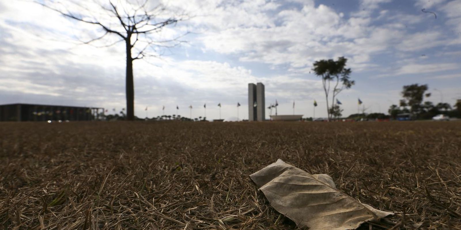 Imagem referente a Aquecimento além de 1,5°C ameaça saúde, agricultura e economia