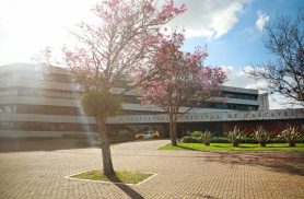 Confira como ficam os serviços públicos no feriado de Independência do Brasil