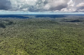 Fazenda autoriza crédito de US$ 1 bilhão do BID para Eco Invest Brasil Fazenda autoriza crédito de US$ 1 bilhão do BID para Eco Invest Brasil