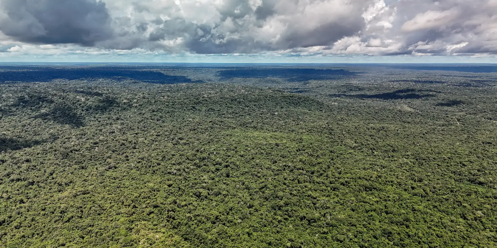Fazenda autoriza crédito de US$ 1 bilhão do BID para Eco Invest Brasil Imagem referente a Fazenda autoriza crédito de US$ 1 bilhão do BID para Eco Invest Brasil