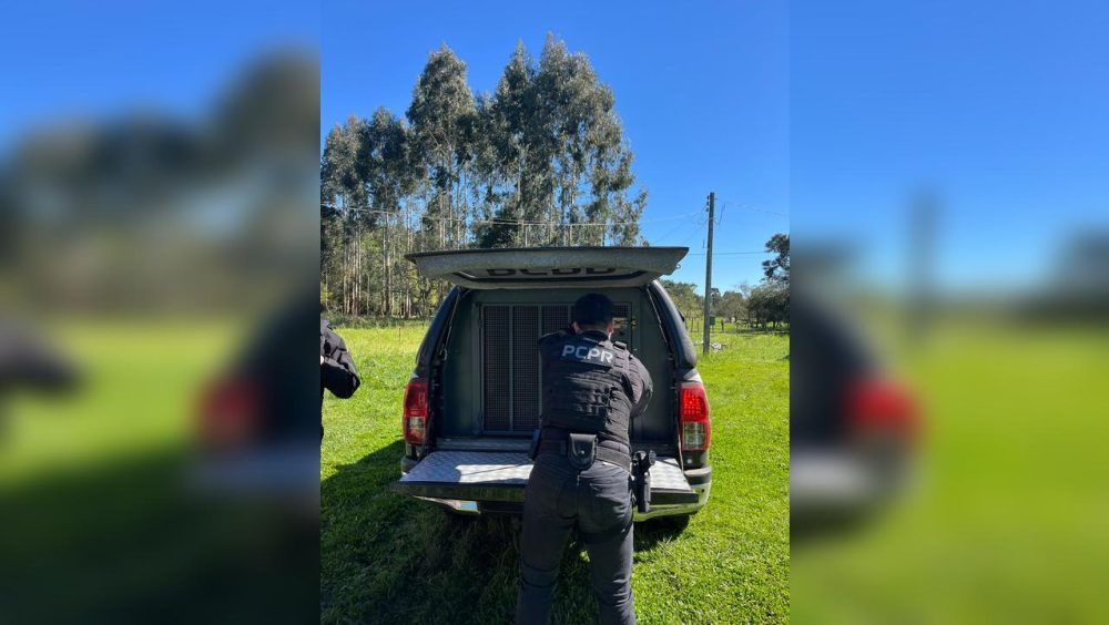 Homem é preso suspeito de estupro de vulnerável contra sobrinha no Paraná Imagem referente a Homem é preso suspeito de estupro de vulnerável contra sobrinha no Paraná