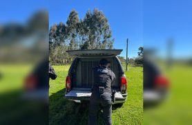 Homem é preso suspeito de estupro de vulnerável contra sobrinha no Paraná Homem é preso suspeito de estupro de vulnerável contra sobrinha no Paraná