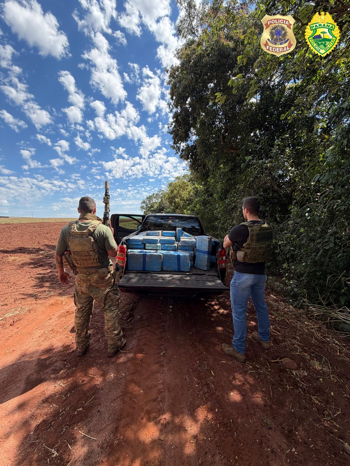 BPFRON e PF apreendem mais de 600 kg de maconha em Guaíra
