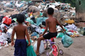 Senado aprova direito prioritário da criança a meio ambiente saudável
