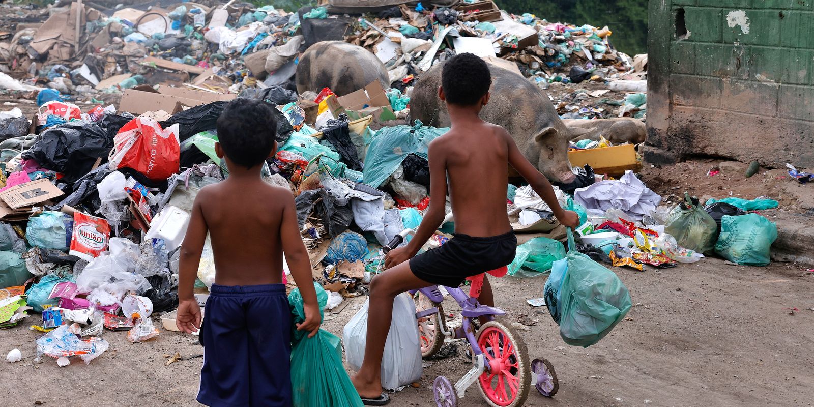 Imagem referente a Senado aprova direito prioritário da criança a meio ambiente saudável
