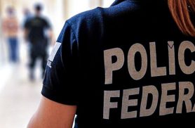 PF faz operação contra fraudes no registro de armas de colecionadores