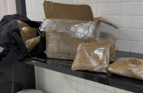 Menor é apreendido com 10 kg de maconha durante abordagem na BR-277