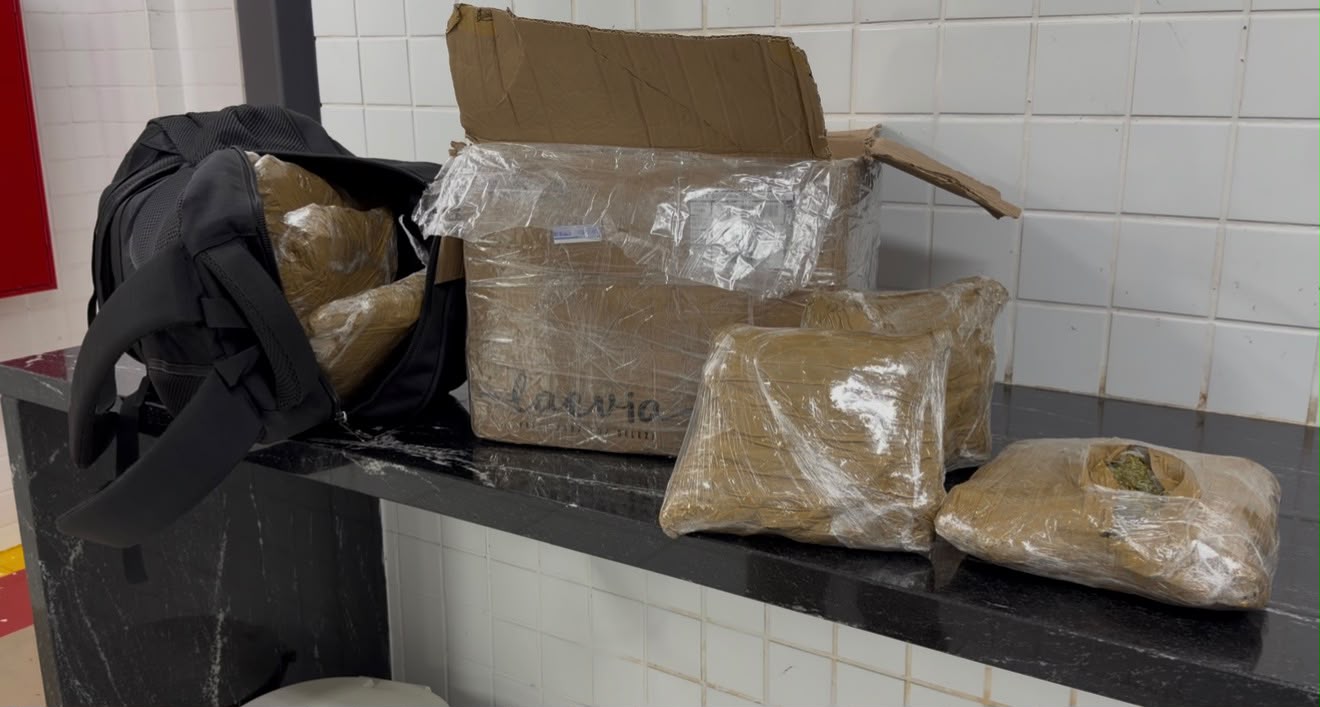 Menor é apreendido com 10 kg de maconha durante abordagem na BR-277