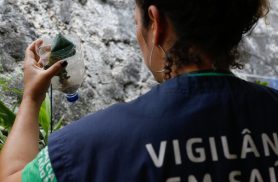 São Paulo tem mais de 58 mil casos de dengue desde o início do ano