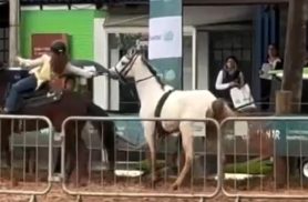 Menina de 12 anos vira destaque ao domar cavalo que causou pânico na Expointer