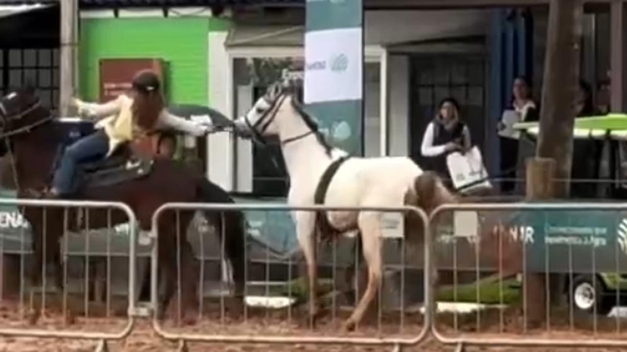 Menina de 12 anos vira destaque ao domar cavalo que causou pânico na Expointer