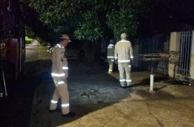 Cachorro invade casa e mobiliza bombeiros durante a noite no Bairro Coqueiral