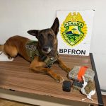 BPFRON apreende mais de 1 kg de maconha e prende dois homens em São Pedro do Iguaçu Imagem relativa a BPFRON apreende mais de 1 kg de maconha e prende dois homens em São Pedro do Iguaçu