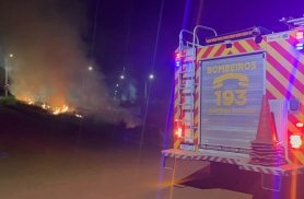 Incêndio em vegetação mobiliza bombeiros durante a noite em Cascavel