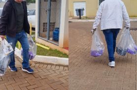 GDE realiza apreensão de drogas na manhã desta terça-feira (08)
