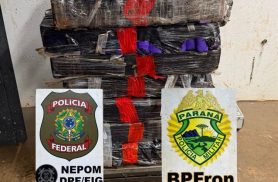 PF e PM apreendem 99,2 kg de maconha próximo ao Marco das Três Fronteiras