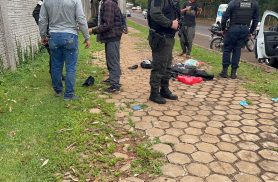 Ação da Guarda Municipal termina com diversas apreensões no Bairro Canadá