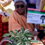 Imagem relativa a Morre Zélia Amador de Deus, referência da luta antirracista no Pará