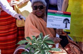 Morre Zélia Amador de Deus, referência da luta antirracista no Pará Morre Zélia Amador de Deus, referência da luta antirracista no Pará