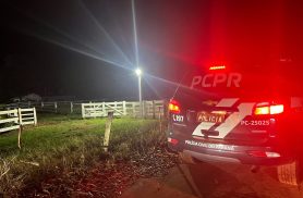 Polícia Civil e Militar deflagram operação contra grupo suspeito de furto no Paraná