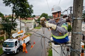 Energia é restabelecida para todos os clientes após contato de pássaro com rede elétrica em Cascavel