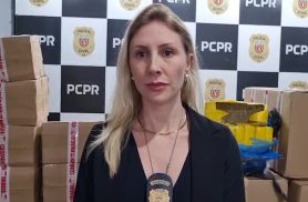 Delegada explica como denúncia levou Denarc a apreender 515 kg de maconha em Cascavel
