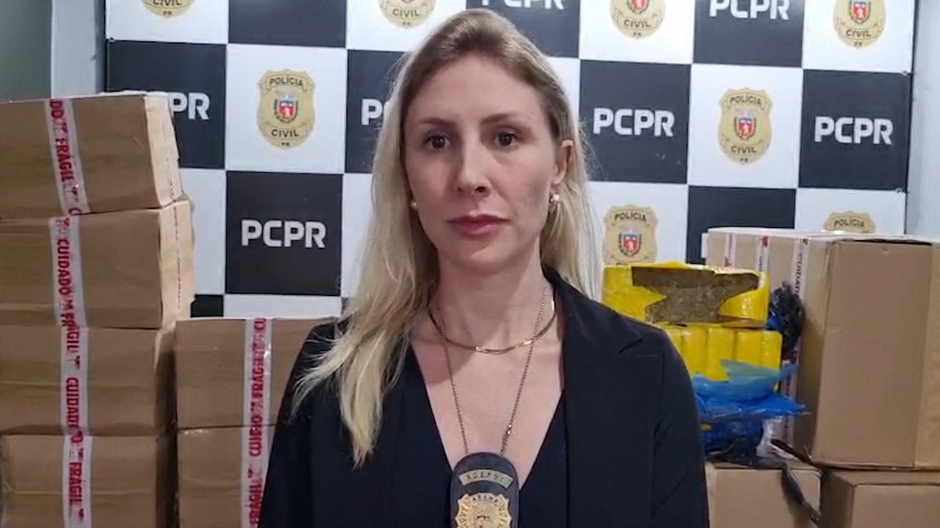 Delegada explica como denúncia levou Denarc a apreender 515 kg de maconha em Cascavel