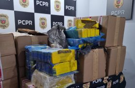 Denarc Cascavel apreende 515 kg de maconha e prende homem de 40 anos por tráfico