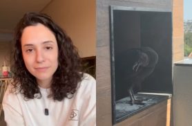 Moradora vai fazer churrasco e encontra "visita" inusitada que chocou o prédio em Cascavel