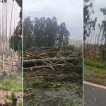 Imagem relativa a Possível tornado causa destruição em comunidade rural de Espigão Alto do Iguaçu