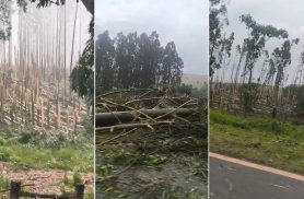 Possível tornado causa destruição em comunidade rural de Espigão Alto do Iguaçu
