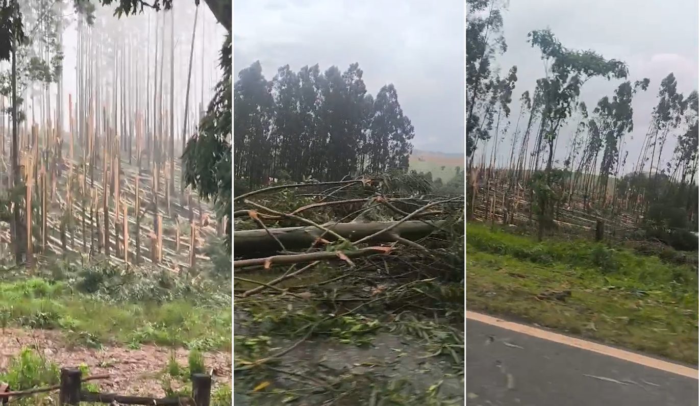 Possível tornado causa destruição em comunidade rural de Espigão Alto do Iguaçu