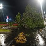 Imagem relativa a Temporal em Ubiratã: chuva forte e ventos causam quedas de árvores