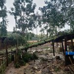 Simepar confirma dois tornados em Francisco Alves e Espigão Alto do Iguaçu Imagem relativa a Simepar confirma dois tornados em Francisco Alves e Espigão Alto do Iguaçu