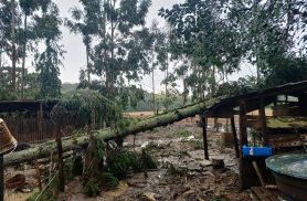 Simepar confirma dois tornados em Francisco Alves e Espigão Alto do Iguaçu