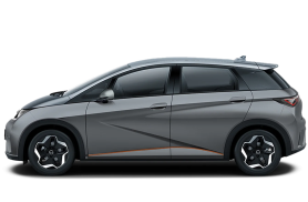 Comprou BYD zero km para trabalhar e ficou cerca de dois meses sem conseguir emplacar