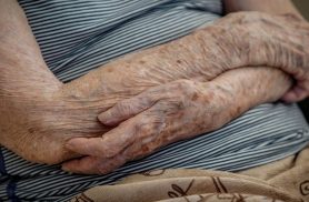 Número de lares com idosos em insegurança alimentar cai em dois anos