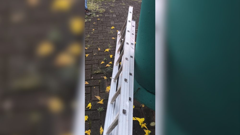 Flagrado com a mão na massa: Homem tenta fugir com escada de 3 metros, mas acaba preso pela PM em Cascavel Imagem referente a Flagrado com a mão na massa: Homem tenta fugir com escada de 3 metros, mas acaba preso pela PM em Cascavel